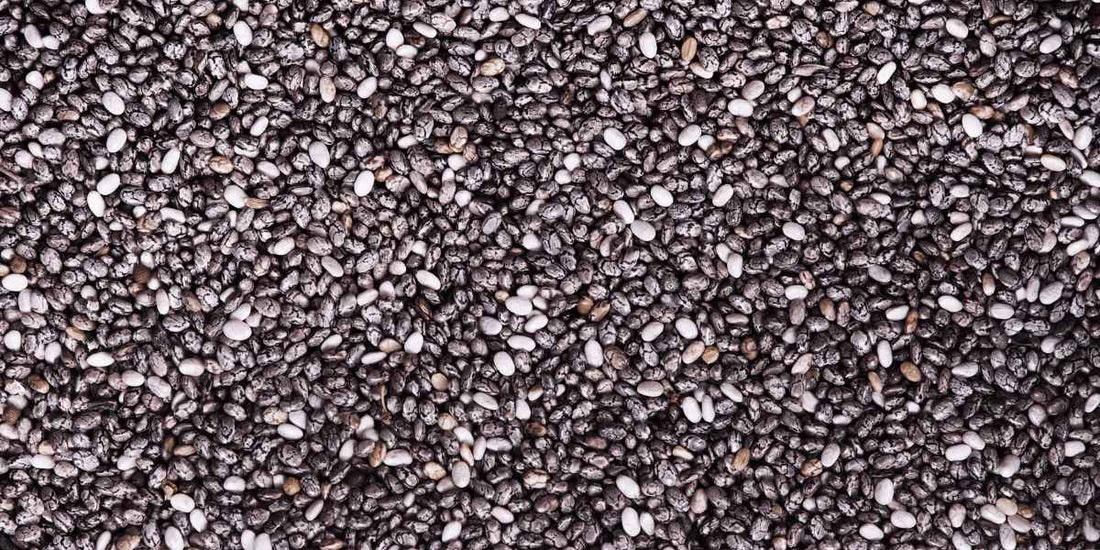 Chia Seeds: The Ultimate Superfood - The Organic Store