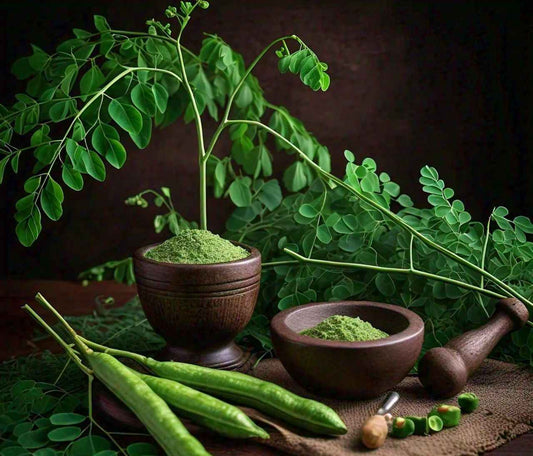 The Incredible Benefits of Natural Moringa: A Nutrient Powerhouse - The Organic Store