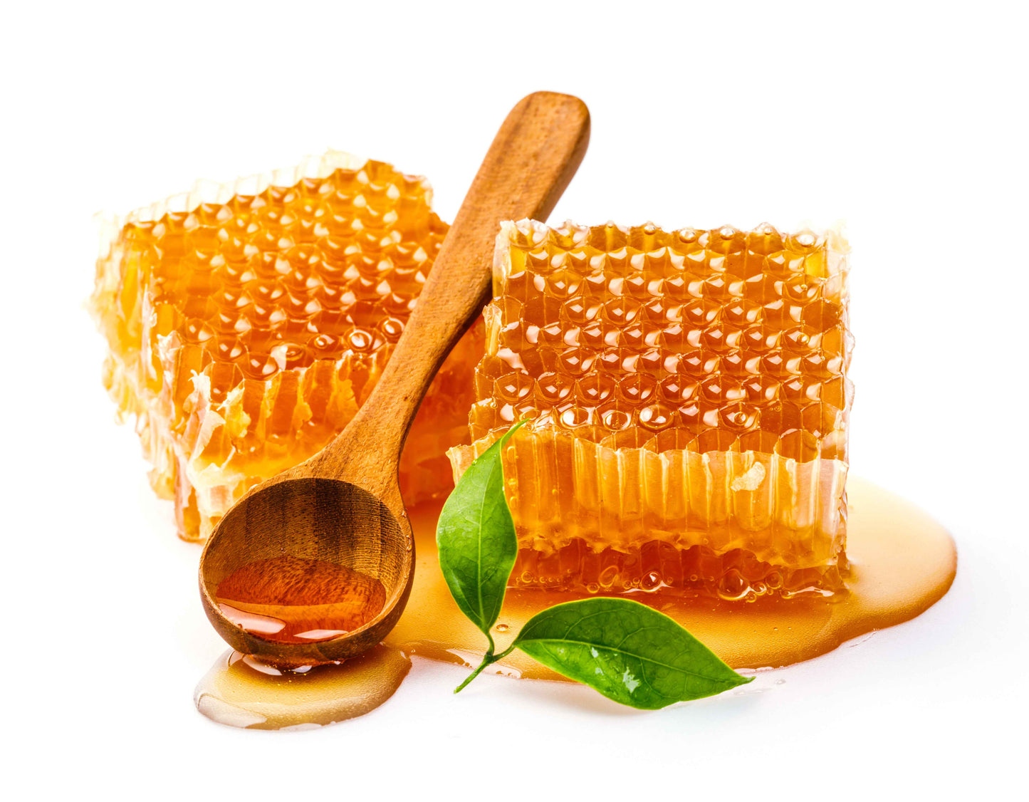 Organic Honey - Acacia - Pure, Natural & Raw Bee Honey - The Organic Store