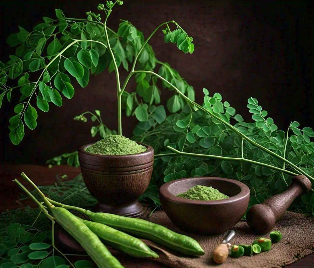 The Incredible Benefits of Natural Moringa: A Nutrient Powerhouse - The Organic Store