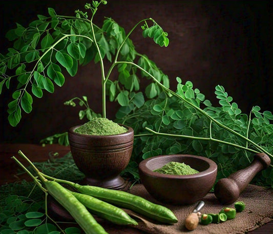 The Incredible Benefits of Natural Moringa: A Nutrient Powerhouse