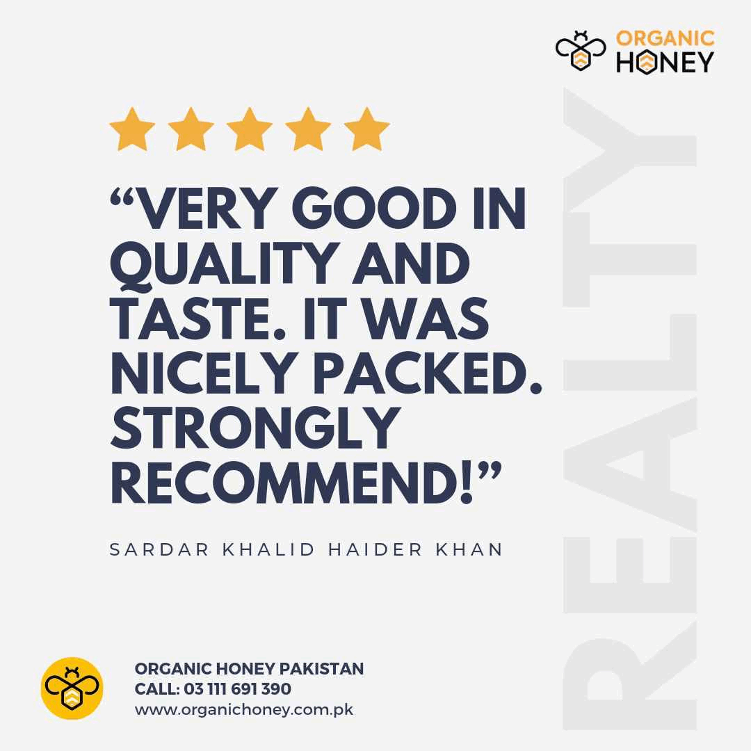 Organic Pumpkin Seeds - Without Shell - Premium Quality - Free Shipping (کدو بیج) - The Organic Store